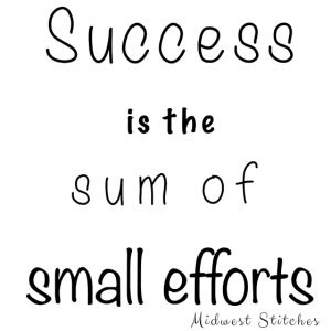 Success & Small Efforts
