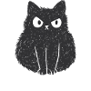 funny cat