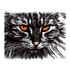funny cat face