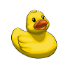 Rubber ducky