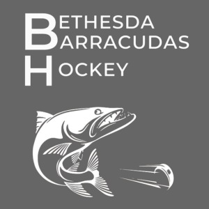 BBH Series Large White Logo