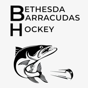 BBH Series Large Black Logo