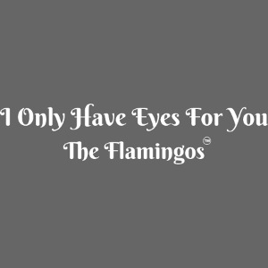 I Only Have Eyes For You/ All White Letters