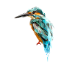 Bird Polygon