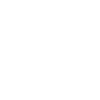 TEAM NORMAL