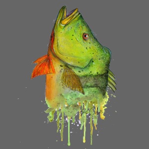Peacock Bass