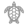 turtle polygon