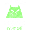 Cats Cat Face