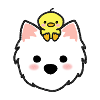 Westie with Duckie