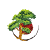Bonsai Whisperer