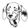 drawing style dog