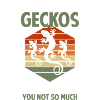 Lizard Terrarium Lizardman