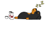 Rottweiler Sake Drunk