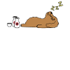 Goldendoodle Sake Drunk