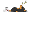Miniature Pinscher Sake Drunk