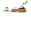 Boxer Dog Sake Drunk