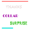Thanks Collar Surprise