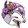 Funny Possum Opossums
