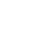 Constitution Constrains The Government