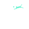 Volleyball Papa