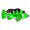 PEACOCK BASS