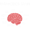 Paramedics Brain