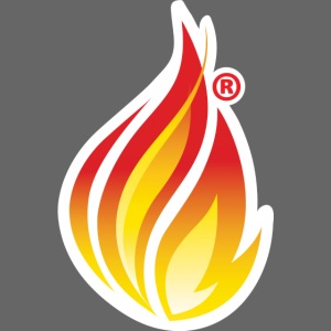 HL7 FHIR Flame graphic with white background