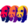 Panda trio 1