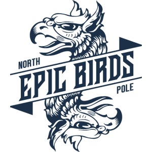 epic bird eagle north pole