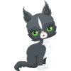 Black and White Cat