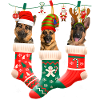 Christmas German Shepherd Sock