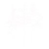 Pine Tree