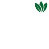 just imagine