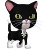 Black and White Cat