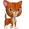 Orange Tabby Cat