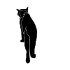 go away