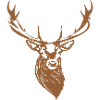 Nice Deer