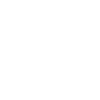 Drone Pilot