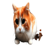 3d Funny Cat Face