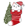 Cute Cat in Christmas Sock