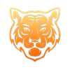 40 tiger