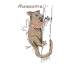 Funny Opossum, Awesome Possum