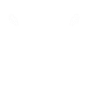 Sunflower Seeds