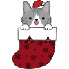 Cat in Christmas Sock