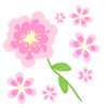 pink flowers pattern