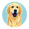 Golden Retriever & Blue Sky