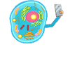 Cell Fie