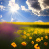 Summer Blue Sky Yellow Flowers