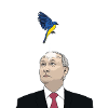 Putin Bird