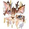 Cat Face